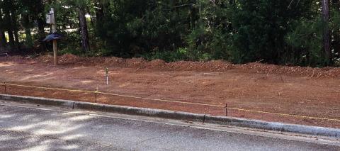 Harbor Club resident replaces weeds with wildflowers