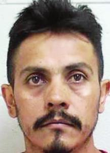 Bicycler struck, killed by vehicle