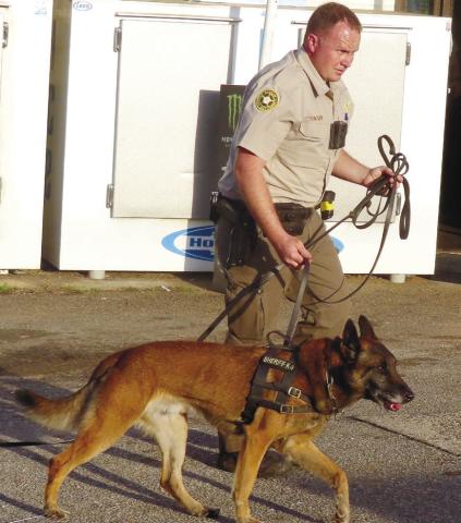 PCSO K-9 Nix and his handler, Deputy Chris Donovan, begin the search in front of Terry’s One Stop on Scuffleboro Road for a man who attempted to hijack a woman’s pickup truck while she drove home. CONTRIBUTED