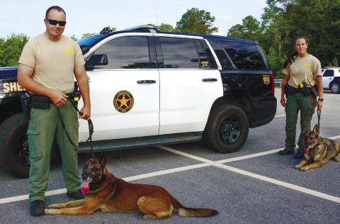 Putnam County Sheriff’s Deputies Chris Donovan and Holly Collins are inseparable from their K-9 partners Nix (left) and Cora. IAN TOCHER/Staff