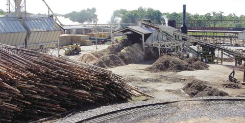 At Interfor’s Putnam County facility on Dennis Station Road, massive piles of southern yellow pine are backed by large mounds of sawdust and wood chips, none of which go to waste. CONTRIBUTED