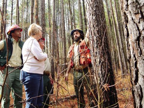 L-R: Silviculturist Deyonte Johnson, Putnam County landowner Lynne Woods and Forest Health Protection Entomologist Paul Merten speak with Forester Luke Wilson in the Oconee Ranger District pine forest near Rock Eagle. IAN TOCHER/Staff
