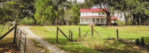 During her time on the farm, Flannery O’Connor would complete the bulk of her literary work from the inspiration of the farm environment. CONTRIBUTED