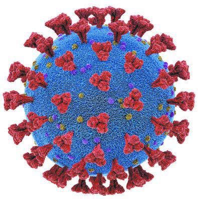 Image provided by Google