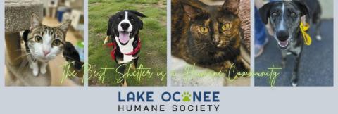 Greensboro’s Lake Oconee Humane Society will host its third annual Wine, Wags, and Whiskers event on Aug. 9 at Oconee Brewing Company in Greensboro. (CONTRIBUTED)