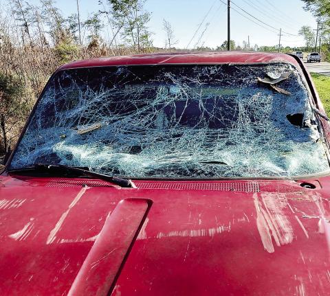 The windshield of this Ford Ranger, driven by a 24-year-old Sparta man, was damaged when a tree fell on it while he was traveling on Pea Ridge Road. PHOTO CONTRIBUTED