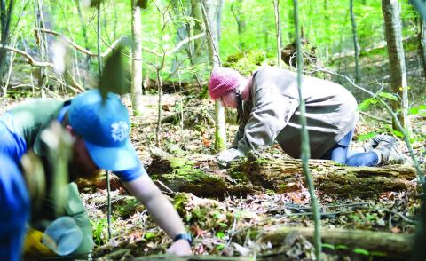 Elena Cruz (right) and another student rummage through piles of dead leaves in the woods at the Lake Laurel Biological Station in Milledgeville. CONTRIBUTED