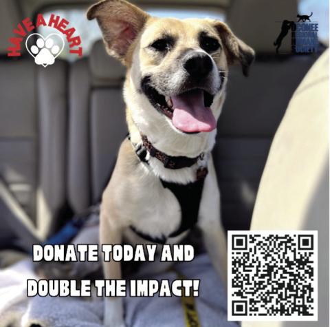 April is National Heartworm Awareness Month, and the Oconee Regional Humane Society (ORHS) is back with its Have a Heart campaign. (CONTRIBUTED)