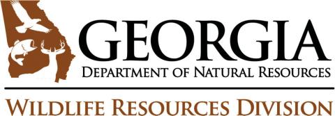 Georgia duck season opens Saturday