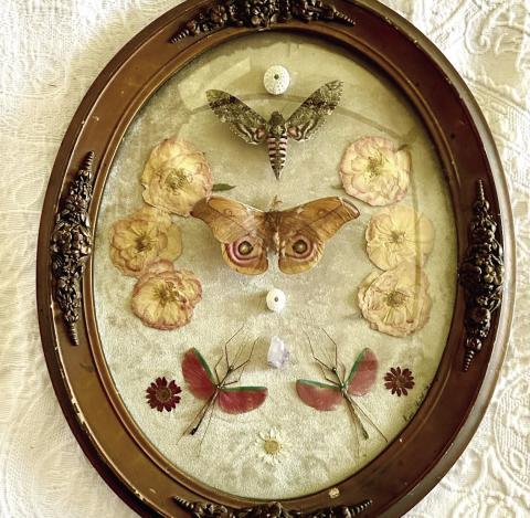 The exhibition will open with a catered reception and Artists Meet & Greet from 6-8 p.m. on Friday, Sept. 6. 